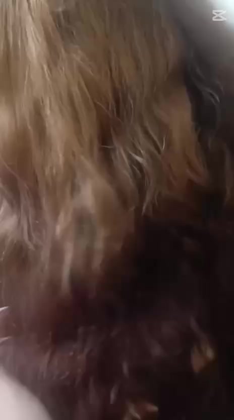 السلام عليكم 😍
بنات مسوية عروض منا لحد اول يوم رمضان فقط استغلو العرض 😍
تسريح شعر ضمان بي لمدة سنة 
😍وي كل تسريح معالج هدية من صالون نونة
😍
شعر قصير 40
شوية اطول 50
والباقي خصم 25%
حفافه 5
تنضيف بشرة 5
رموش 5
مكياج 15
جميع تسريحات 15
صبغ +ميش خصم 25%

😍استغلو العرض 
😍


**إذا كنت صاحب هذا الإعلان وتريد حذفه لأي سبب، رجاءا أرسل رسالة إلى الدعم الفني**