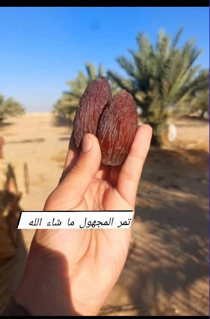 يا الله يتوفر فسائل برحي بتاريخ 20/8/2026
بئذن الله وعونه يتوفر برحي + مجهول وكافة الفسائل الاخرى
الحجز والاستفسار اتصل./
‏‪***********‬‏
***********
اسعار مناسبه..
او راسل الصفحة وبخدمت الجميع
