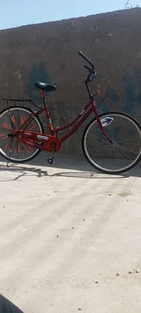 باسكل • بصره زبير • علاوي