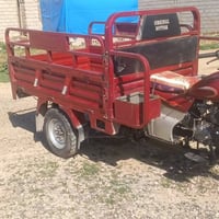 للبيع ستوته فحل شرط بس تشغل كهربايات كله شغاله سلف اشاير سكن السعر ملي...