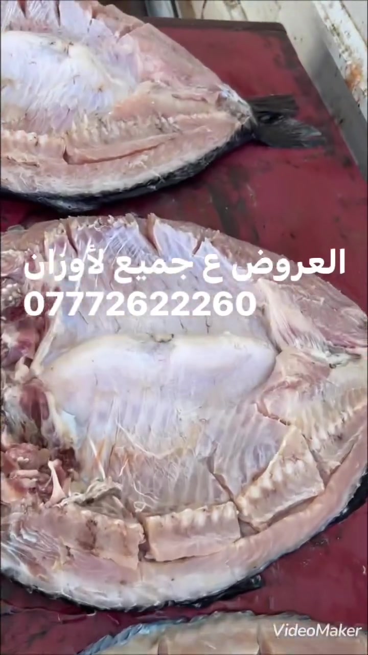 سمجه وزن كيلو وربع
وياها صينيه تمن مشكل
مرك نوعين 
زلاطه وخبز وطرشي ب 12 الف 

سمجه وزن كيلو ونص
وياها صينيه تمن مشكل
مرك نوعين 
زلاطه وخبز وطرشي ب 14 الف

راسلو للحجز 
***********

