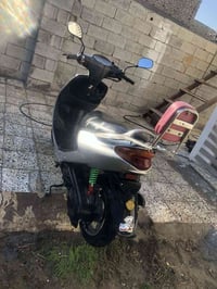 اكزز ياباني • فحل • خلل بالضفيره