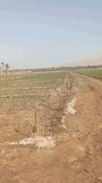 أرض زراعية • المناظرة • ٥دونم