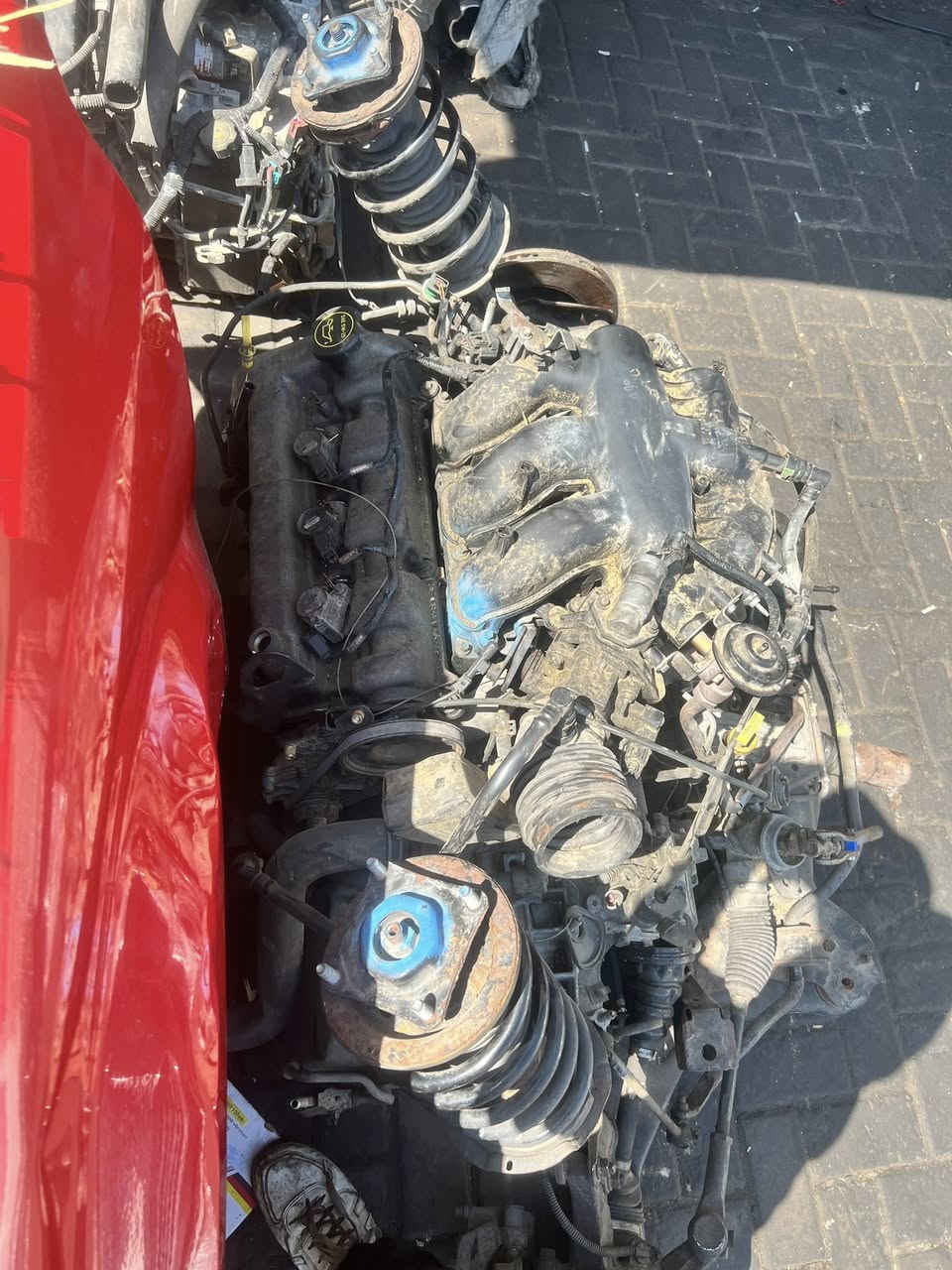 من رخصت الأدمن المحترم✨
تم وصول كصات وقطع غيار للسيارات الفورد

(اسكيب-ايكو سبورت-فيوجن)

للتواصل:***********

يوجد خدمة توصيل جميع المحافظات
