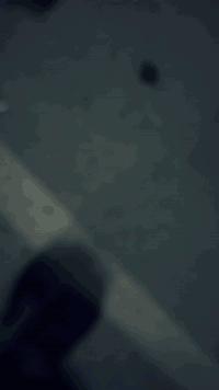 R6 ٢٠٠٧ • ٦٦ سي سي • ماشية ٤٠ ألف