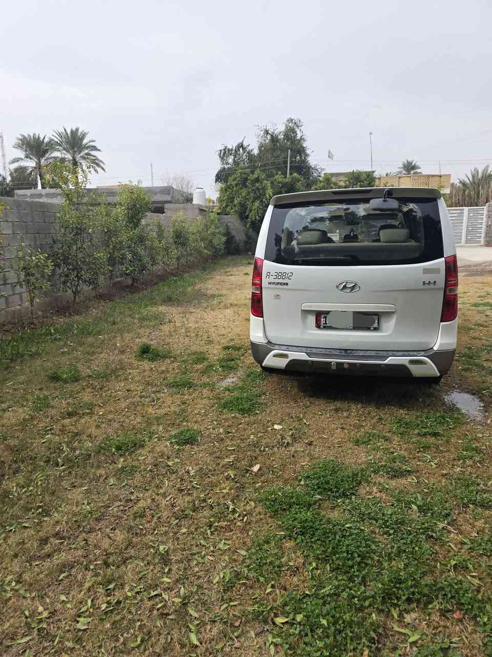 سلام عليكم ستاركس لبيع موديل١٩ مفتوح كفله عامه تخم تير حداديه جديده مكينه جديده مكان واسط عزيزيه ***********
