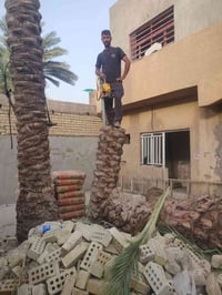 قص نخيل • تقطيع نخيل • طوريج الخيرات