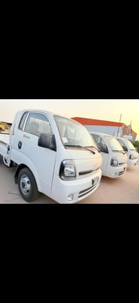 فحل • ٢٠٢٦ • بدون رقم