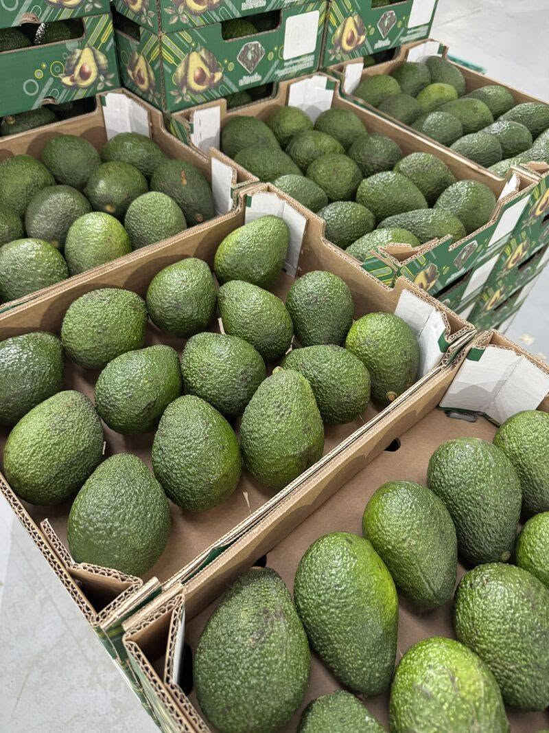 أفوكادو 🥑 هاس عالية الجودة جاهزة للتصدير من المغرب 🇲🇦
الاعلان موجه للمستوردين تجار الجملة المهتم يتواصل معنا خاص شكرا


**إذا كنت صاحب هذا الإعلان وتريد حذفه لأي سبب، رجاءا أرسل رسالة إلى الدعم الفني**
