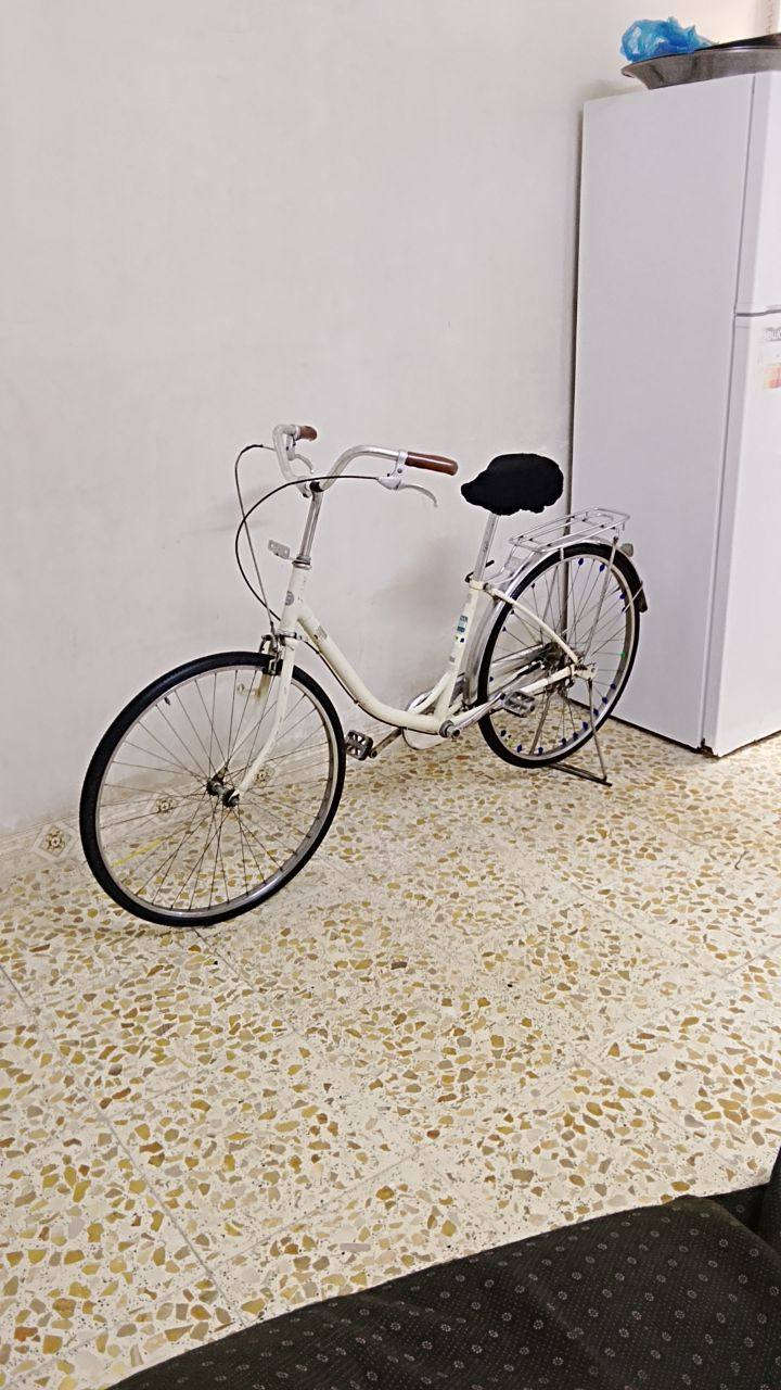 بايسكل للبيع
حجم 26 ياباني
 اصلي حاويه كامل مابي اي نقص جميع ختومات الشركه بي 
  سعر 50 بي مجال💸
 العنوان كركوك حي الأسرى والمفقودين نزول الجسر الربع 
***********☎️
