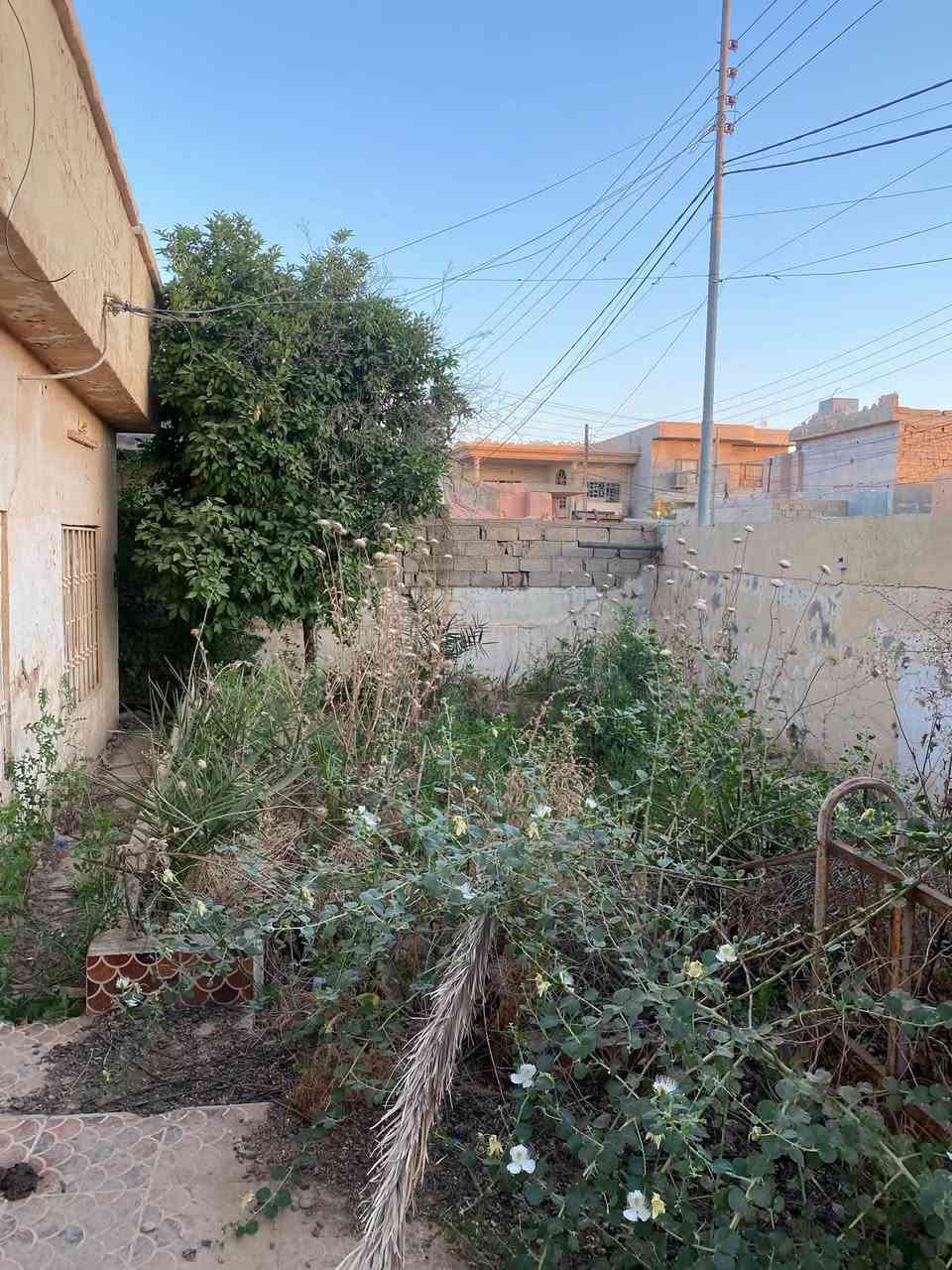 للبيع
دار سكنية بناء قديم مساحة 300 طابو صرف الحي العصري للاستفسار مراسلة الصفحة او الاتصال ع الارقام التالية 

***********

***********
