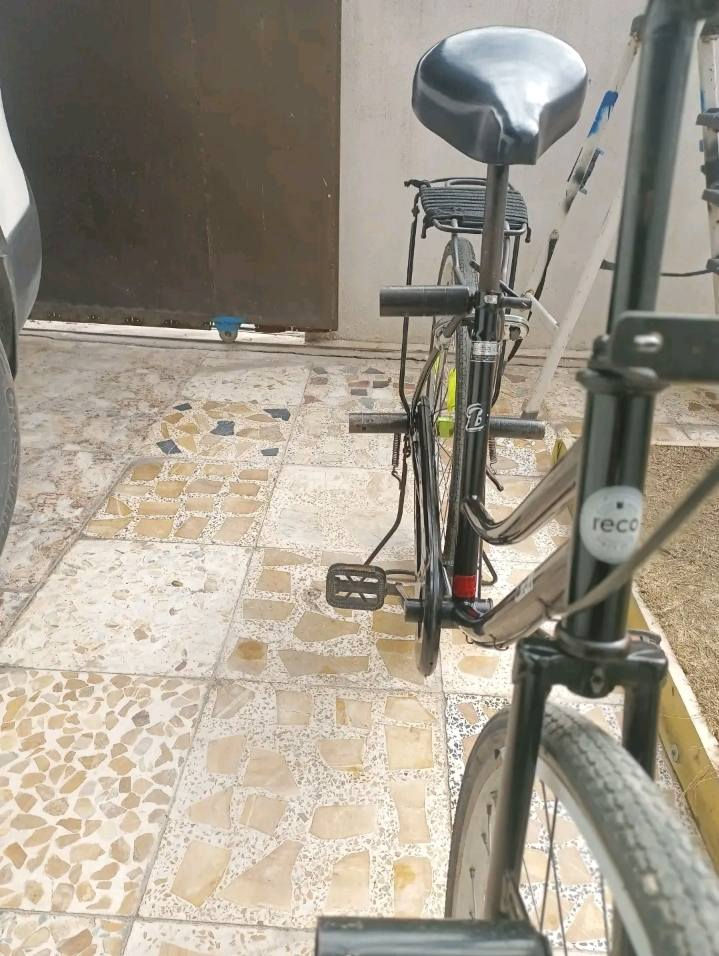 لبيع سعر 120 بي مجال بايسكل نضيف كلش شركه Bran او مراوسه بتسع زروف


**إذا كنت صاحب هذا الإعلان وتريد حذفه لأي سبب، رجاءا أرسل رسالة إلى الدعم الفني**