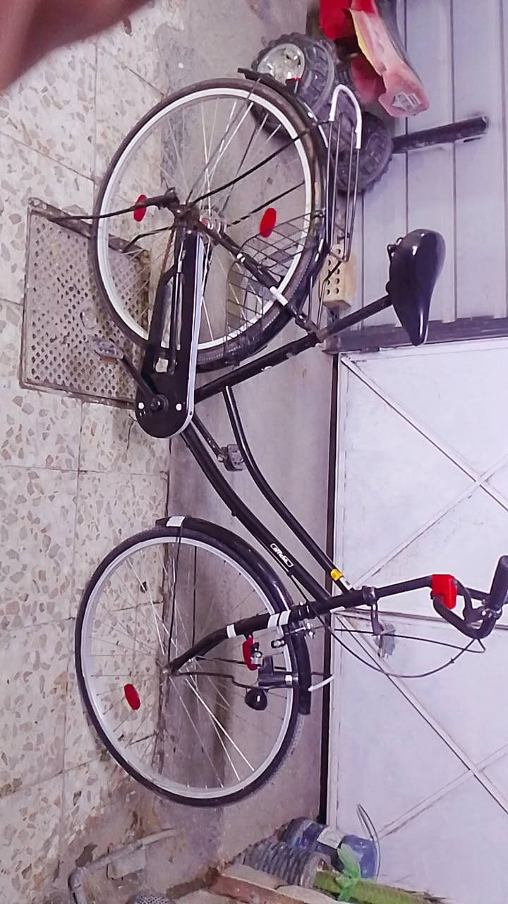 سلام عليكم بايسكل للبيع موديل 2022 صالة 4 أشهر من نزل من رمبة بايسكل نضيف كلش ياباني كلوب امامي داينمو السعر 110 وبي مجال العنوان بغداد الجديدة الاستفسار *********** متواجد ماسنجر واتس اب
