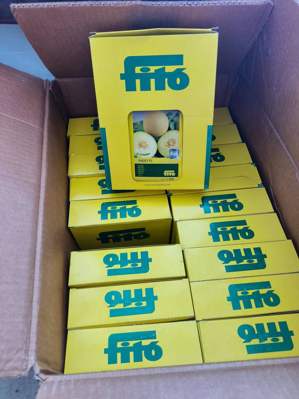 بطيخ فادو سعر المغلف ٣٧ ألف دينار فقط 
متوفر بكميات كبيرة


**إذا كنت صاحب هذا الإعلان وتريد حذفه لأي سبب، رجاءا أرسل رسالة إلى الدعم الفني**