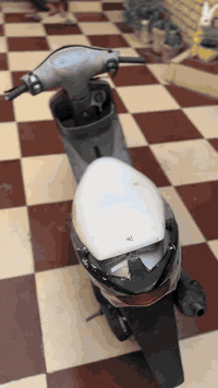 ماكس منغولي • طافية • ناصريه اريدو