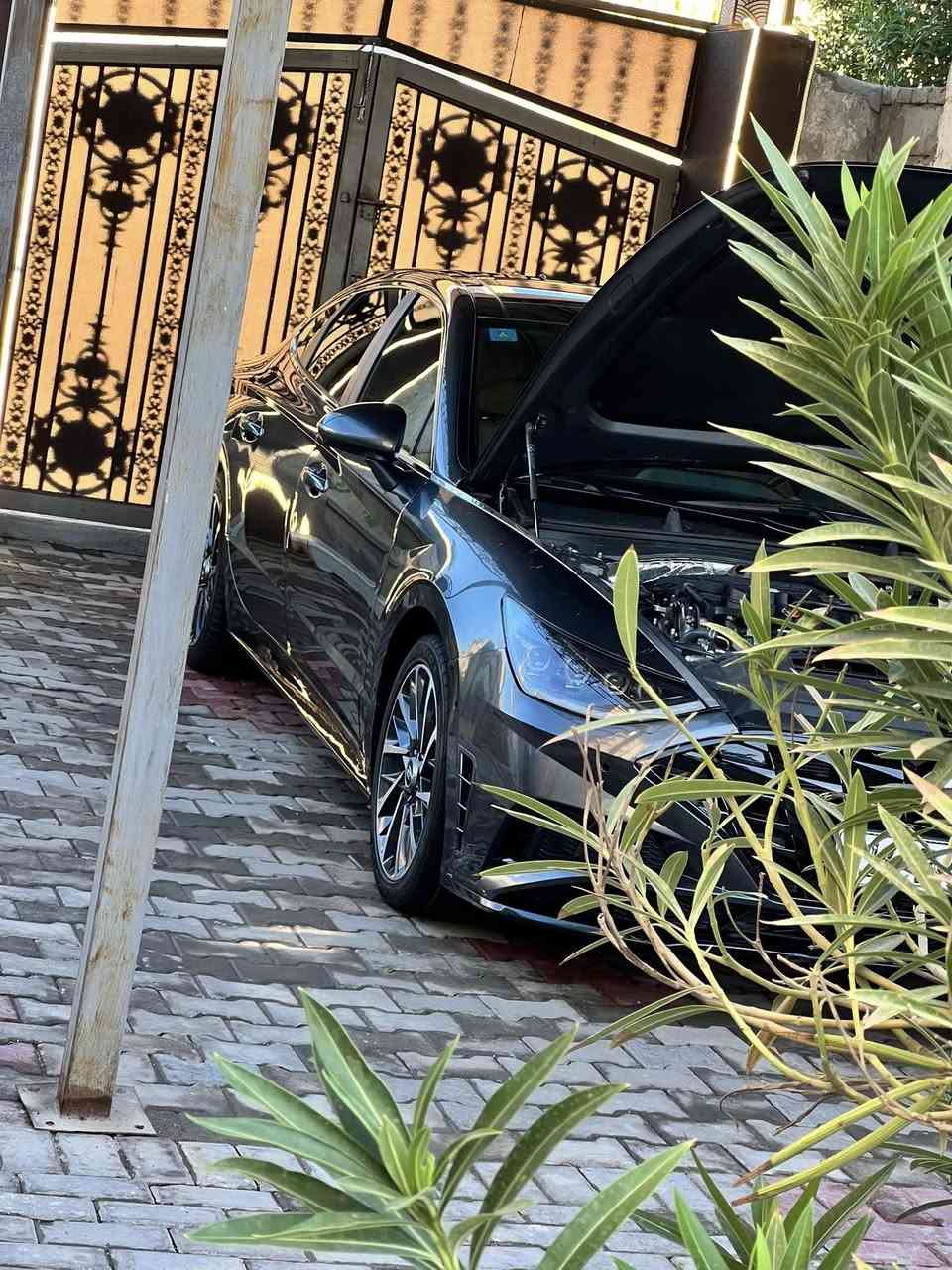 السلام عليكم 
سوناتا 2023 limited فول فول للاخير 

محرك : 1.6t اقتصادي واعتمادي

گير : 8سرعات 

الضرتبديل جاملق وبنيد نفس الون

ممشى السيارةحالين ا49لف ماشيه اخت زيرو

السيارة بدون اي نقوصات بدون مصرف جاهزة من كل النواحي وبدون اي مشاكل

مواصفات السيارة :
-لايت ليد وعدسات خاص بفئة الـ limited
-داخل جملي لون مميز 
-مقاعد كهرباء وميموري
-مقاعد تدفئة وتبريد
مقاعد جلد نابا طبيعي- 
-تدفئة ستيرن 
-بانوراما 
-اضائة داخلية 64 لون متغير 
-عدادات شاشة 
-اربع وضعيات قيادة( sport-smart-normal-custom )
-شاحن وايرليس
-اوتو هولد 
-كامرات 360 درجة محيطية
-كامرات مع الاشارة 
-رادار جانبي ورادار خلفي ورادار امامي ومحافظة على المسار
-مثبت سرعة متفاعل
-داتا شو 
-تبريد قطعتين ومنفصل 
-تشغيل عن بعد وتحريك السيارة عن طريق الريمونت 
-ويل حجم 18 
-نظام صوتي Bose محيطي 16سماعة
-اوتو بريك وتنبه من الاصدام

وهواي مواصفات بعد معروفة الاعلى فئة بالسوناتا 
(حادث صطحي شاصي مكفول )

السيارة مرقمة باسمي وجاهزة التحويل بنفس اليوم
السيارة مرقمة بصره 
مكان السيارة بل بصره 
سعر السيارة 175بيها مجال بسيط 
للتواصل خاص او على الرقم :***********
