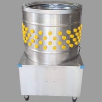 هلاسة دجاج • جديدة • النجف