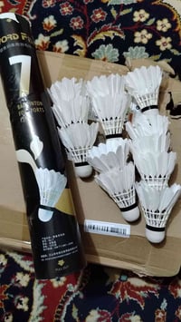 ريش • درزن • شكل انطوني