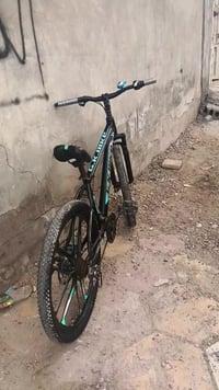 باسكل جبلي • مستعمل خفيف • ريشه كاملة