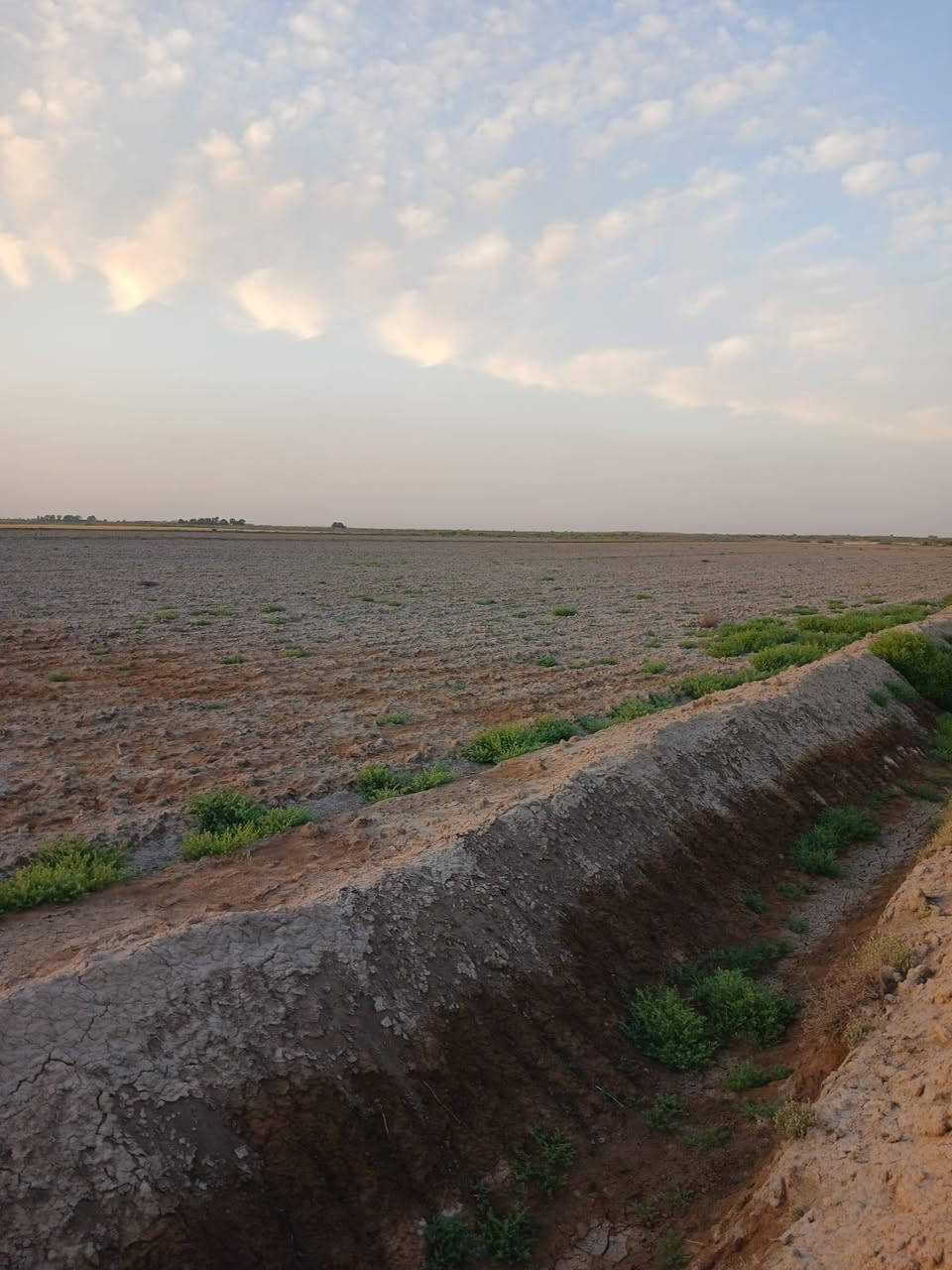 ١٣٠ دونم طابو زراعي سند ٢٥ تقع في قرية حلب الارض معدلة ليزر وجاهزه للزراعة ومبزلة وتوجد لها حصة مائية خلال الموسمين ويمكن استخدامها لزراعة الشلب تحويل مباشر بالسند للاستفسار ***********/***********
او مراجعة مكتب أمتار للعقار
