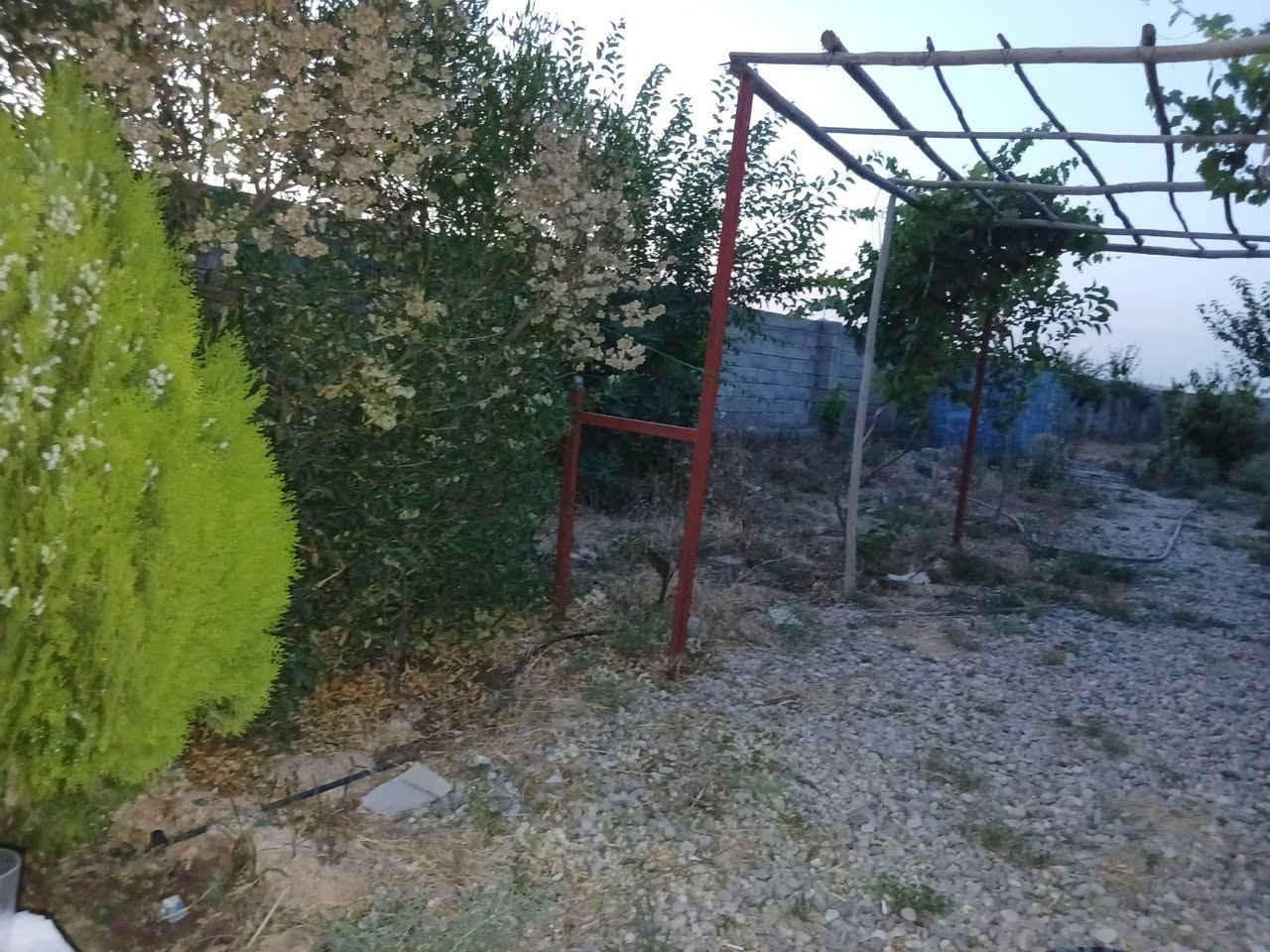 السلام عليكم
قطعة ارض زراعي للبيع
مزرعة بيها انواع الاشجار
العنوان خلف مستشفى الحسين
التفاصيل اتصل على الرقم
(***********)
