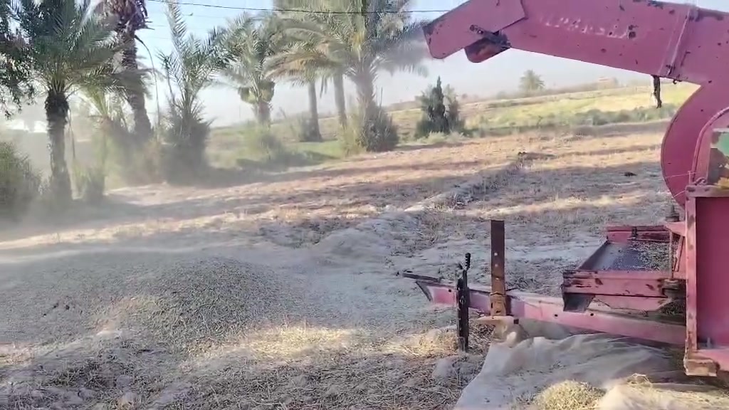 سلام عليكم  قارظه  بزر لبيع سعر  ١٧٠٠ بيهه مجال قليل   ٢٠١٢  تركي *********** عنوان  دولي جسر سابع دايره
