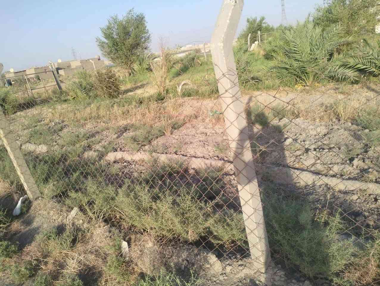 السلام عليكم 
بستان زراعي للبيع المساحه 500 متر 
نزال 30 والواجه 17 
شارع 15 متر يربط على الحولي الجديد 
مكان قريب على الحولي قرب قريه سيد ذهب 
السعر 10 ملايين وبيه مجال 
لاستفسار اكثر  ***********
