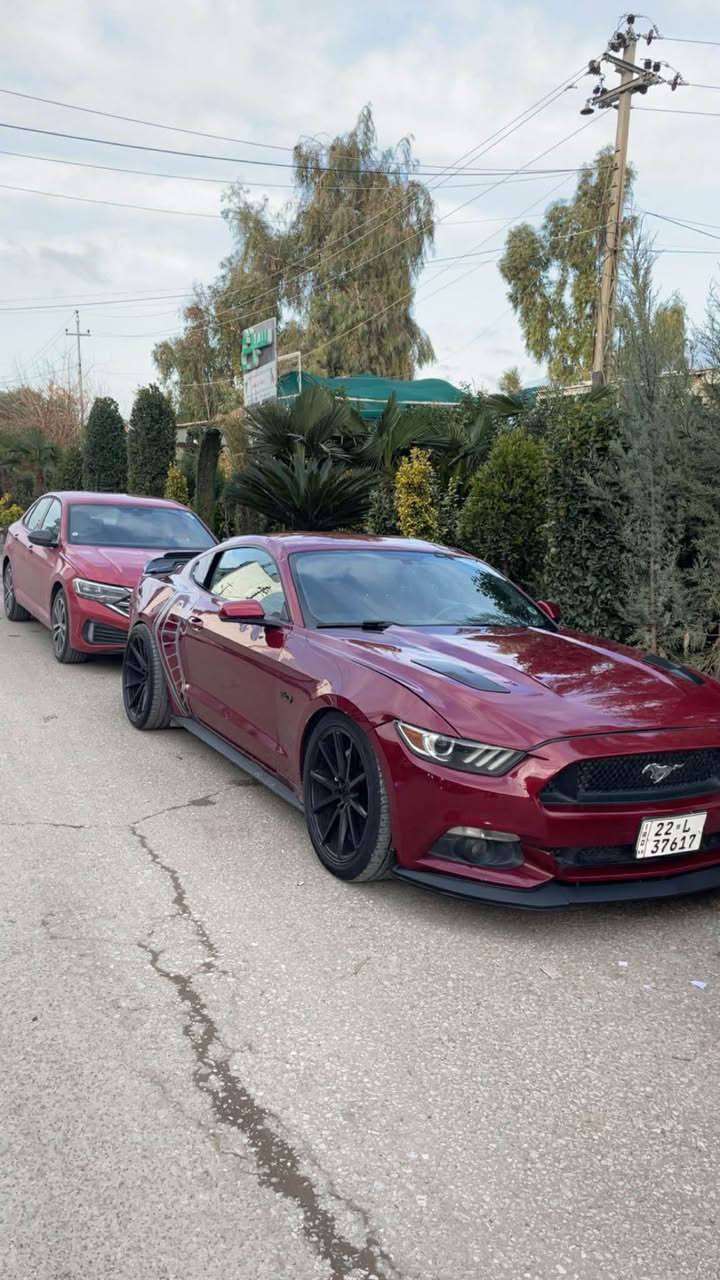 موستانك 2017
ماشية 90 ميل 
صبغ عام
مابيهة نقوصات
مكان اربيل 
125 وبيهة مجال
*********** أربيل, العراق
