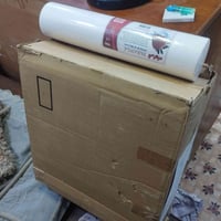 فلاتر • كارتون • بلفين