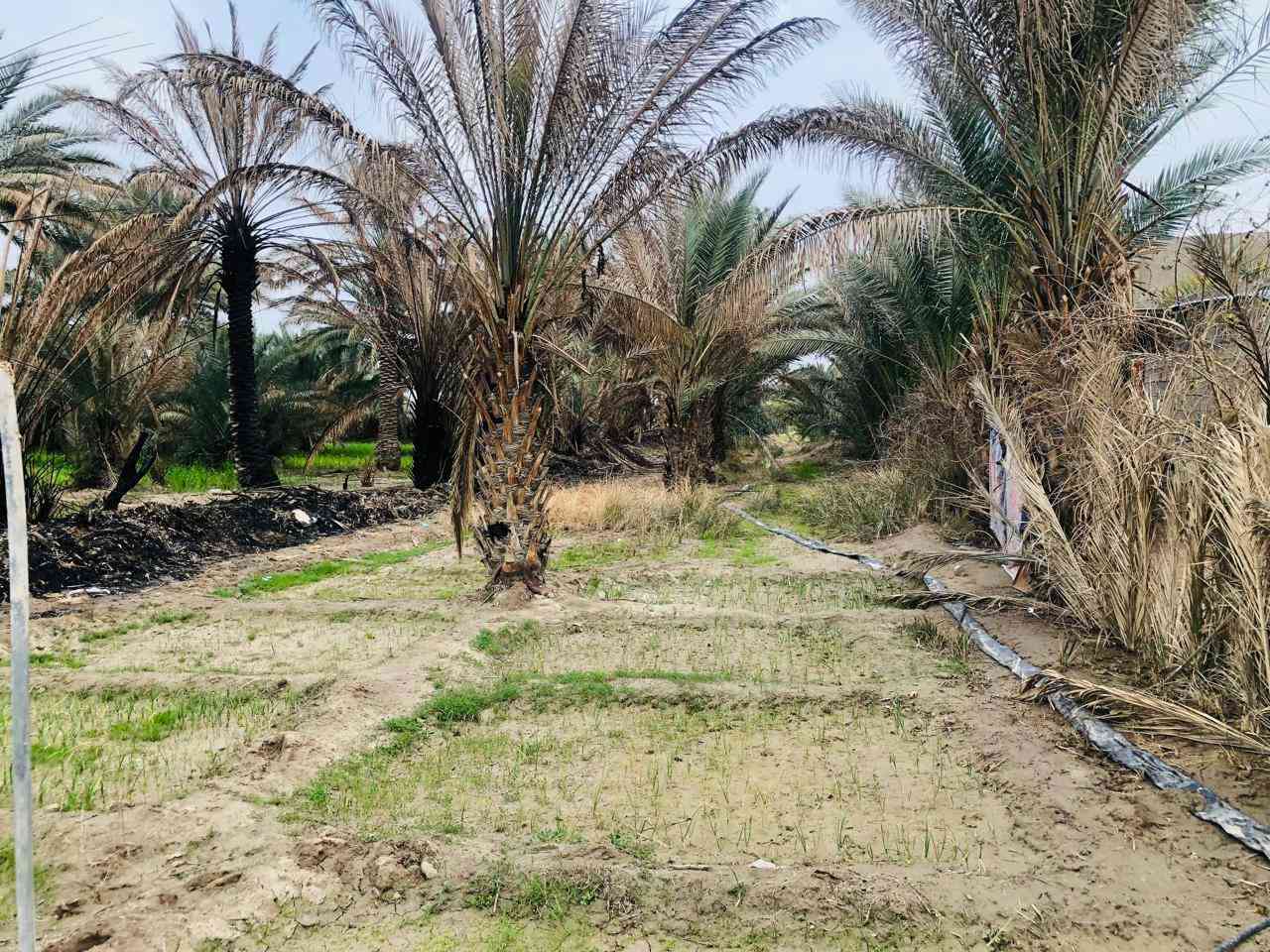 اا


**إذا كنت صاحب هذا الإعلان وتريد حذفه لأي سبب، رجاءا أرسل رسالة إلى الدعم الفني**