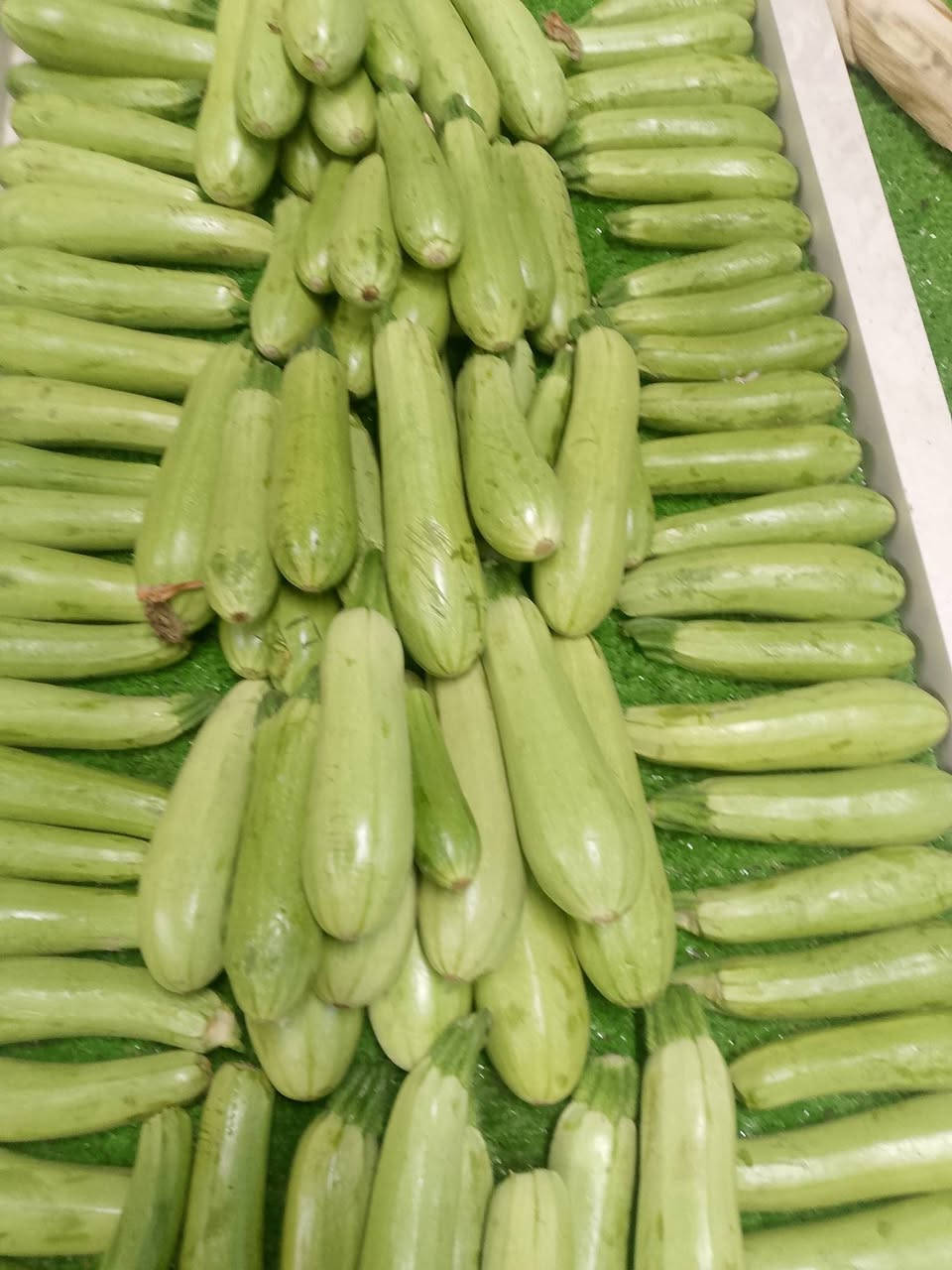 يا سلام عليكم مسواك اليوم 6/28
ملاحضه الحاصل كامل تاخل لمحل

طماطه كيلو 500دينار🍅
وطماطه ناعمه 4كيلوات ب1000

بطاطه 3كيلوات ب2000 جبسيه🥔

بطاطه حمره كيلو 1000🥔

اسود باذنجان لكيلو 500دينار🍆

شجر.3ب2000

خيار معلق ب500

لهانه حمره ووخضره ب1000
شوندر كيلوو 1000🌰

باميه كيلو 1500

تفاح براهيمي عراقي كيلو ب 1000

عرنوس كيلو ب 500🌽

عنب عراقي حمر وخضر كيلو ب 1000🍇

موز لكيلوو 1500🍌

شمام عسل🍯لكيلوو 1000 بطيخ 3كيلوات 2000

ليمون حامض 🍋 كيلو ب 2500

ثوم كيلو 3000🧄

الو اصفر كيلوو 1000

طرعوزي 3كيلوات ب 2000
 
بصل احمر شوندر 3كيلوات ب 2000

بصل ابيض 3كيلوات ب 2000

بصل اصفر 500 دينار

بصل حار كيلوو 1000
عرموط عراقي كيلو ب 1000🍐

تفاح سكري كيلوو ب2000🍏
 
تفاح أصفر وحمر لكيلو 1500
خوخ مسكي ب2000🍑

مشمش كيلوو 1500
كرز🍒 كيلوو 4000

رمان كيلوو 3000الف
 
موز لكيلوو 1500
جزر كيس 1500🥕

فلفل كيلو 1500حار وبارد

برتغال كيلوو ب1500

باميه جمله 1250 مفرد ب1500
خضره تشكيله 12ب1000🌿
سلك 2ب1000

عنوانه بدايه شارع الاميرات مجاور ماركه البردي متواجدين من ساعه 6ص إلى ساعه 12منتصف ليل ومن الله التوفيق
ملاحظه لحاصل كامل داخل لمحل


**إذا كنت صاحب هذا الإعلان وتريد حذفه لأي سبب، رجاءا أرسل رسالة إلى الدعم الفني**