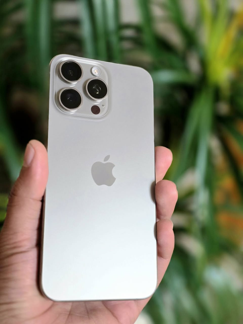 15 برو ماكس ذاكرة ٢٥٦ بطارية ٨٧ استخدام شخصي
كارتونتة متوفرة 
السعر 975


**إذا كنت صاحب هذا الإعلان وتريد حذفه لأي سبب، رجاءا أرسل رسالة إلى الدعم الفني**