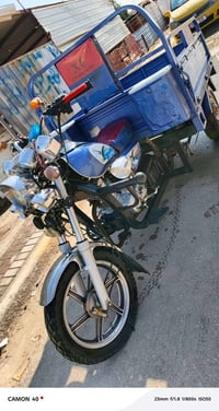 ستوته ٢٣ • مرقمة • سنوية