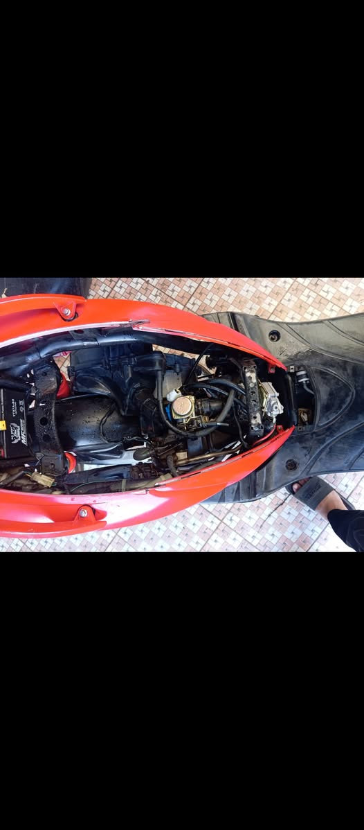 السلام عليكم
سكنس فحل للبيع

الدراجه نكره سلف بكل وقت 

بيها بس  الروله ساحكه مال كلج الامامي والدراجه ما مفتوحه

البجم مالتها  الابلادي موجود 

 سعره475وبيها مجال 

رقم وتساب ***********
