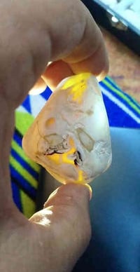 ماشاء الله .. تحفه من العطف سعر 20الف فقط مع توصيل واتساب 07706491117....