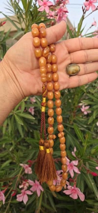 داودي • قديم • سندلوس تركي