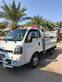 البصره القرنه • كيه بنكو • ٢٠٢٥