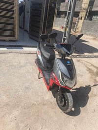 بطريات • عل فحص • فلوجه