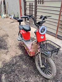 دراجة شحن • حجم 20 • مستعملة شهر