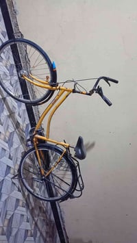 بايسك • فيه مجال