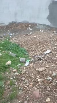 حي الملايين • ١٢٠م • قرب خولفا الرشدين