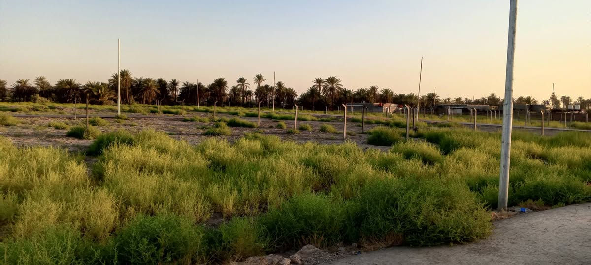 قطعه للبيع طابو زراعي المساحة 400م العنوان الحمزة الغربي خلف مطعم تاج محل مجمع بيت عدنان الواجه 20والنزال 20م الاستفسار الاتصال على الرقم *********** يوجد فيها خدمات ماء وكهرباء وتبليط
