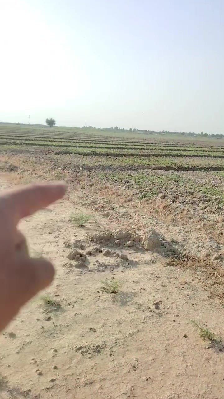 كاع زراعيه للبيع المساحه 3دونم اله ربع
واسط قضاء العزيزيه قرب مطعم عبدالله
***********

