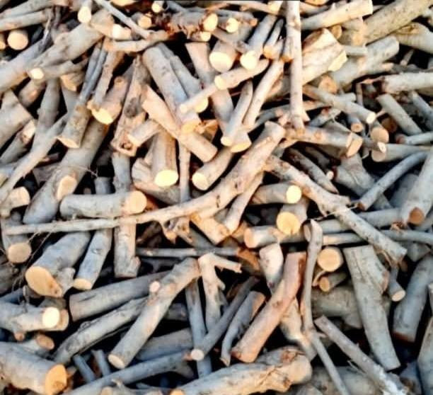 السلام عليكم خشب مال شوي يابس شرط يابس الكونية ب ٤ الاف الستوتة ب ٣٠ واصل لباب بيتك تجي تاخذها مني ب ٢٥
مكاني تاجي حي الحسن العسكري *********** واتساب واتصال وتوصيل
