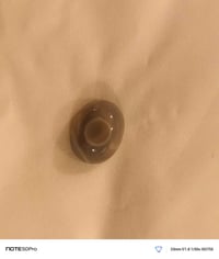 خرزة صغيرة • سليماني • رصاصي