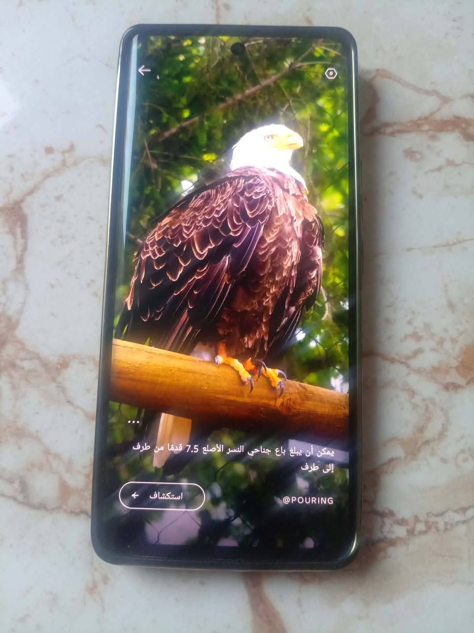 جهاز للبيع السعر 170 مستعجله ع بيع مكان ديوانيه مركز


**إذا كنت صاحب هذا الإعلان وتريد حذفه لأي سبب، رجاءا أرسل رسالة إلى الدعم الفني**
