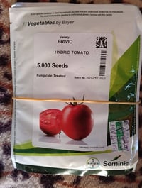 بذور متنوعة • بتنجان جميله • قرع عمه السلطان