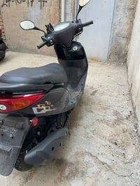 ببغاء • جديدة • كفالة عامة
