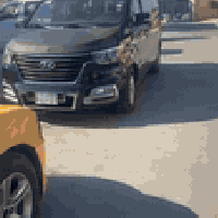 ستاركس • ٢٠٢١ • كفالة