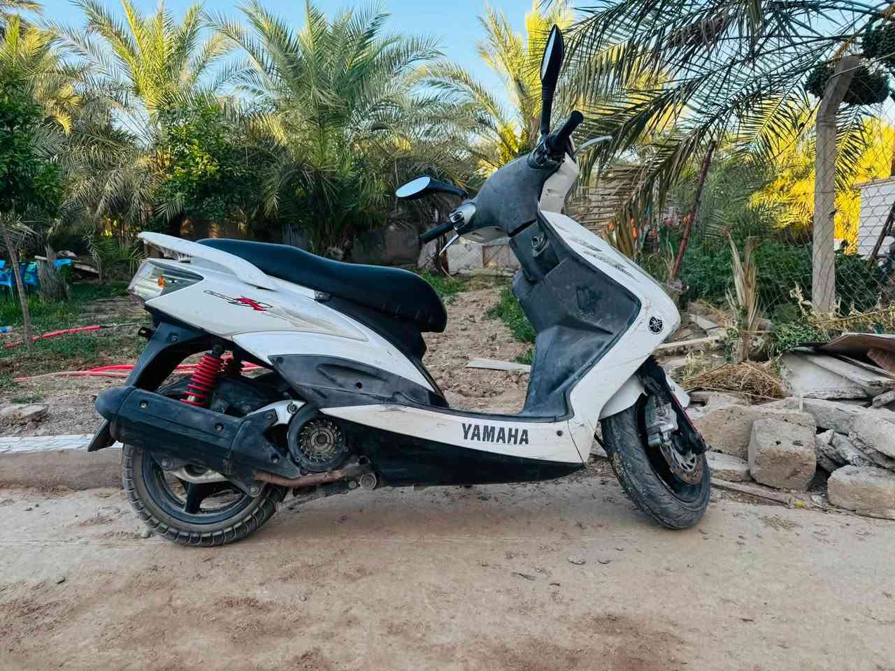 سلام عليكم سكنس فحل دراجه كفاله عامه من كلشي مكينه وكهربايات كله كفاله عنواني حلة ناحية الابراهيمية سعر 975وبيه مجال كلش قليل رقمي اي ستفسار ‭***********‬
